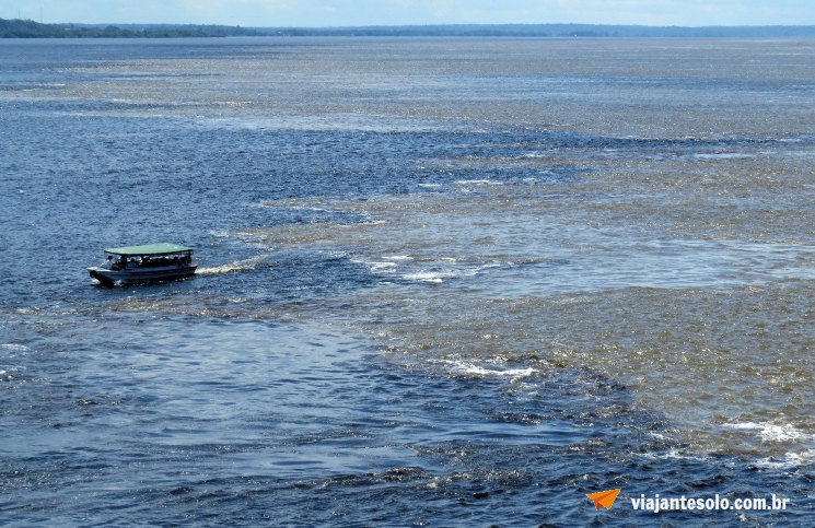 Manaus Encontro das Águas | Viajante Solo
