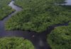 Amazônia Desconhecida Documentário