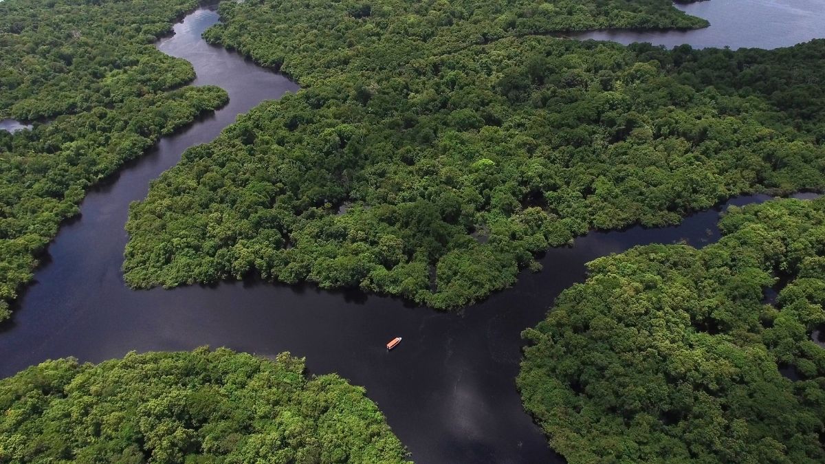 Amazônia Desconhecida Documentário
