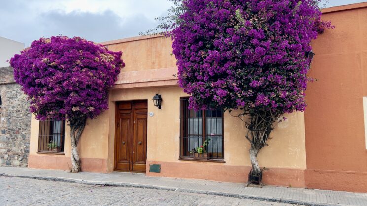 Onde ficar em Colonia del Sacramento viajando sozinha