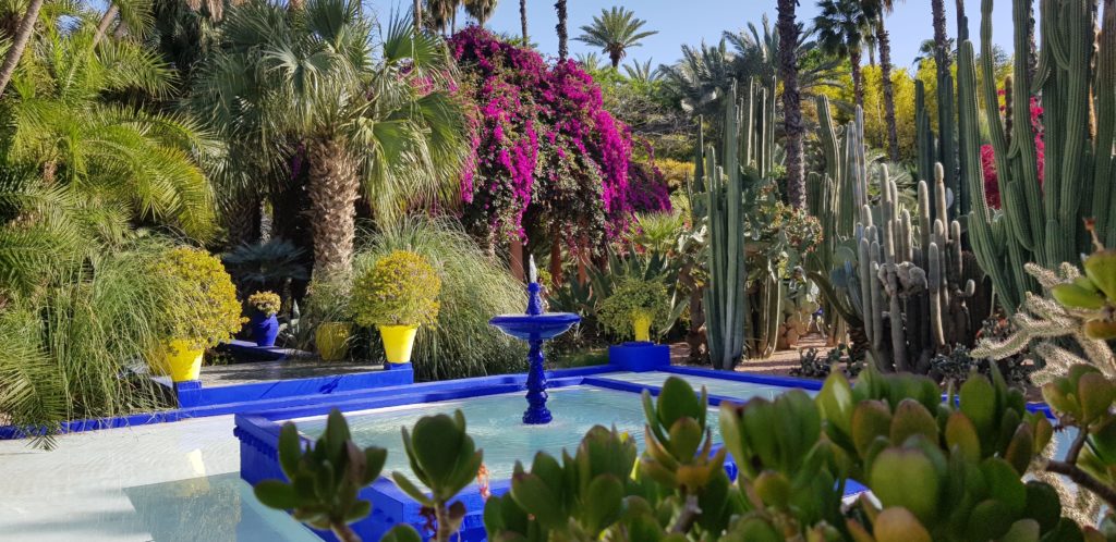 Roteiro no Marrocos Jardin Majorelle