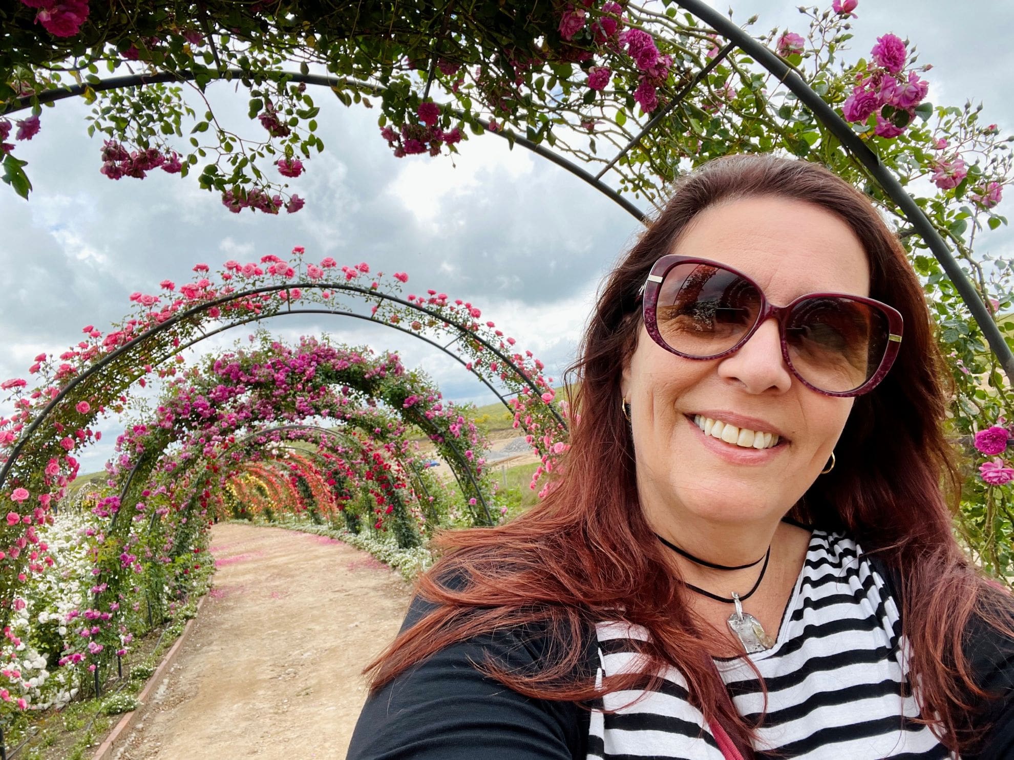 Conheça o Mátria Parque de Flores, em São Francisco de Paula