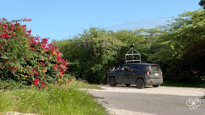 Transporte em Curaçao Aluguel de Carro