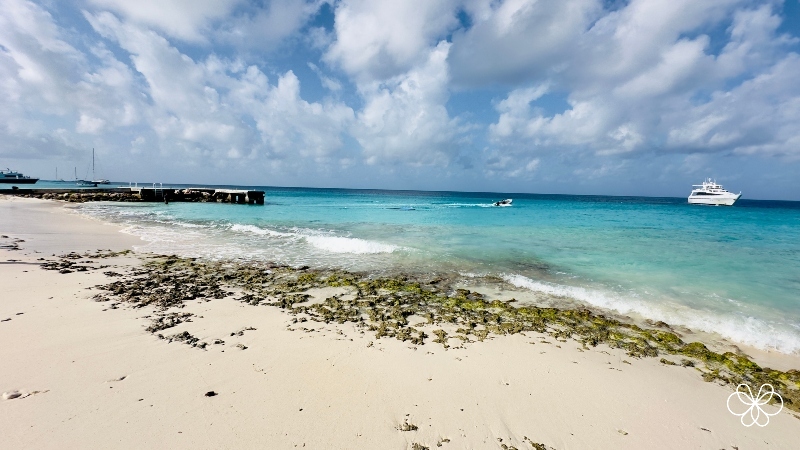 Ilha Klein Curaçao Vista da Praia