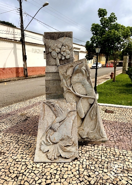  Coronel Xavier Chaves, Minas