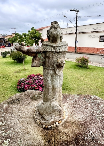  Coronel Xavier Chaves, Minas