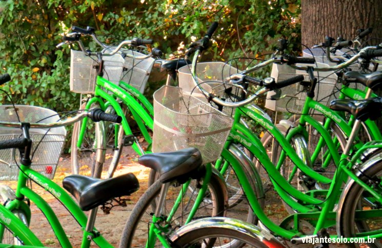 Viña Cousiño Macul Bikes da Bicicleta Verde | Viajante Solo